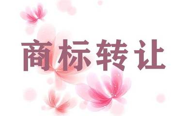 上海商标注册指南与商标代理服务详解